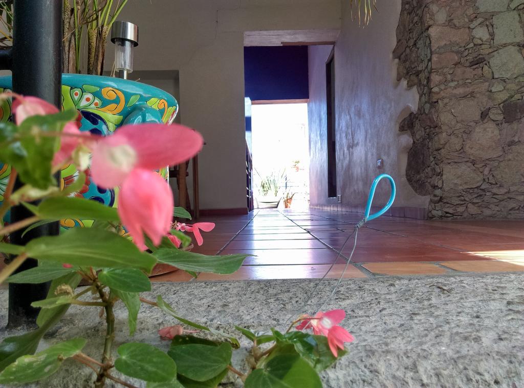 Bed and breakfast La Fuente Guanajuato Extérieur photo